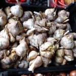 WelshGarlic
