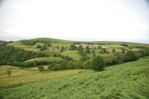 Grug Farm 2