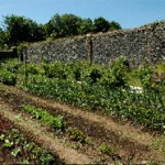 Walled Garden 3