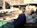 Untitled-4