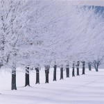 Untitled-8