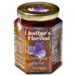 Chilli & Garlic Chutney NP_0490