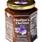 Kashmir Chutney NP_0494