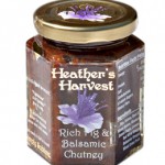 Rich Fig & Balsamic Chutney NP_0495