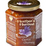 Spiced Carrot Chutney NP_0486