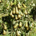 13thSeptember2012 007