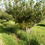 13thSeptember2012 026