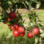 13thSeptember2012 028