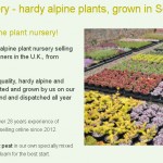 Grown in Scotland Craigiehall Nursery 7