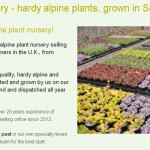 Grown in Scotland Craigiehall Nursery 7