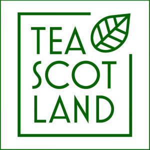 Grown in the UK Tea Scotland 1