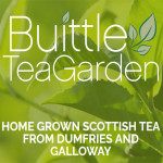 Grown in the UK Tea Scotland Buittle Tea Garden 1