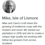 Grown in the UK Tea Scotland Isle of Lismore Tea 1