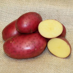 Grown in the UK Potato House 1